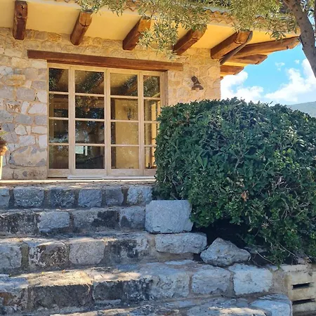 Terra Del Sole Penzion
